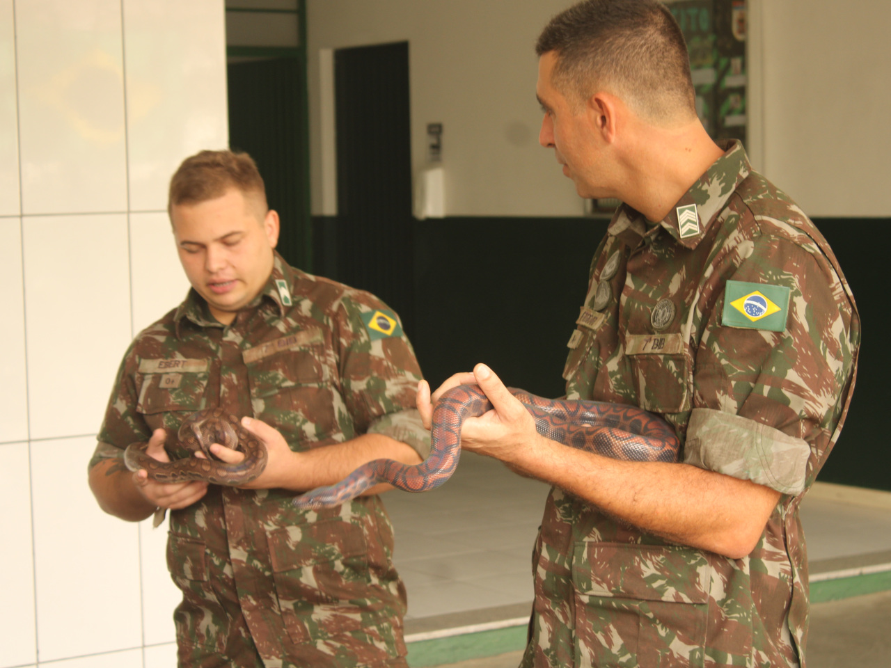 5_-_7º_BIB_realiza_Instrução_de_Técnicas_Especiais_2023.JPG