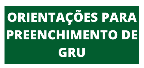 LOGOS_MENORES_-_Orientações_para_Preenchimento_de_GRU_2.png